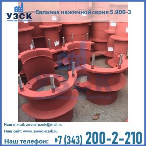 Сальники нажимные серия 5.900-3 в Северске